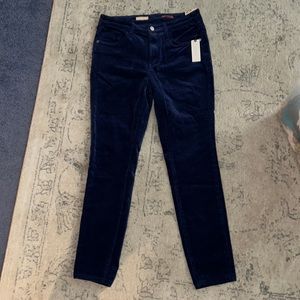 COPY - Anthropologie Pilcro suede pants